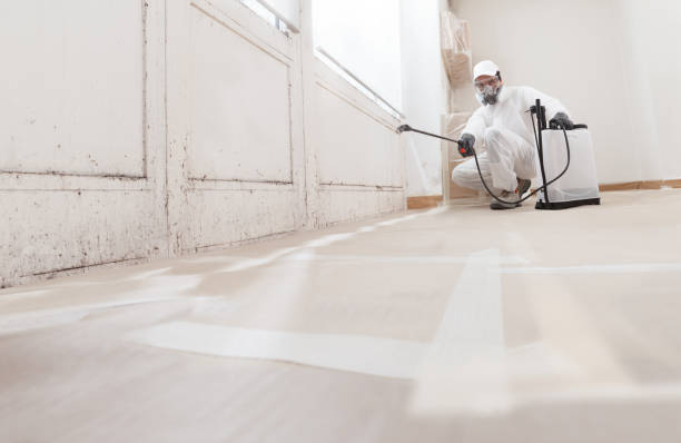 24/7 Emergency Black Mold Remediation experts in Glencoe, MN